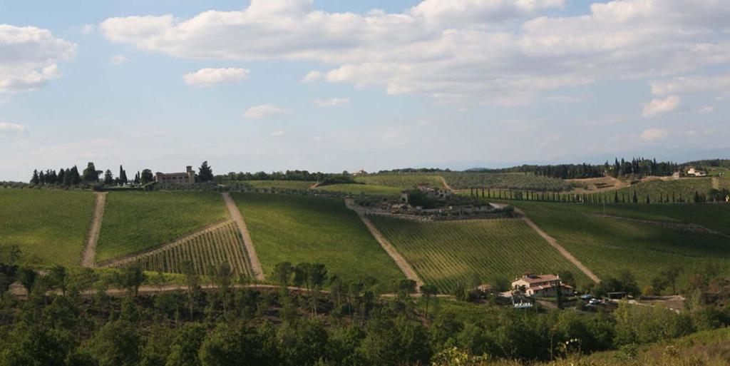 Il Vichiaccio Country House Impruneta Kültér fotó